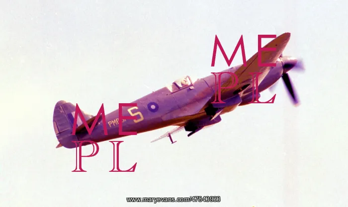 : Supermarine Spitfire PR Mk.XIX PM631 : Supermarine Spitfire PR Mk.XIX PM631