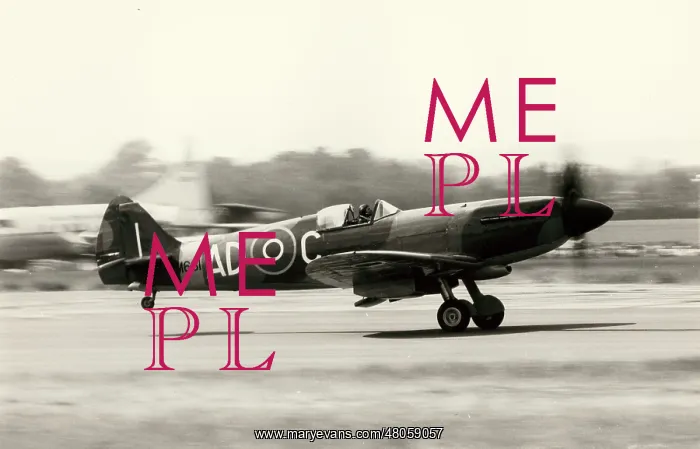 : Supermarine Spitfire PRXIX PM631 of the Battle of Britain : Supermarine Spitfire PRXIX PM631 of the Battle of Britain