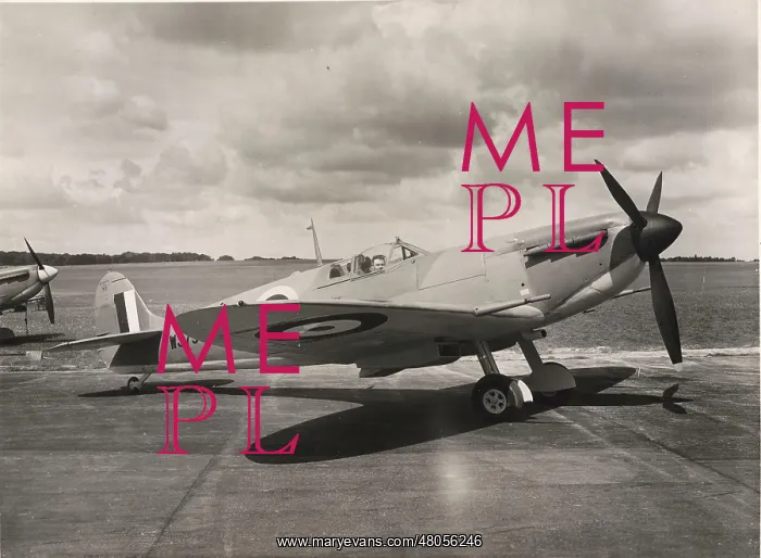: Supermarine Spitfire V : Supermarine Spitfire V