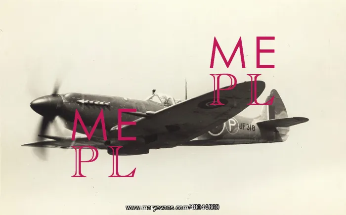 : Supermarine Spitfire VIII JF318 after conversion to a XIV : Supermarine Spitfire VIII JF318 after conversion to a XIV