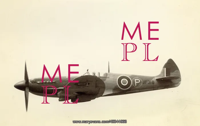 : Supermarine Spitfire VIII JF318 after conversion to a XIV : Supermarine Spitfire VIII JF318 after conversion to a XIV