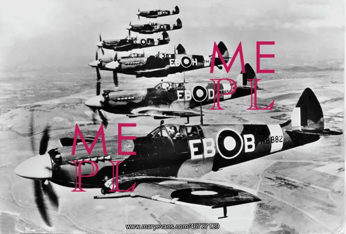 : Supermarine Spitfire XII in echelon of No41 Sdn : Supermarine Spitfire XII in echelon of No41 Sdn