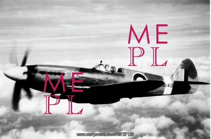 : Supermarine Spitfire XIV (forward view) aloft : Supermarine Spitfire XIV (forward view) aloft