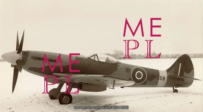 : Supermarine Spitfire XIV MV259 : Supermarine Spitfire XIV MV259