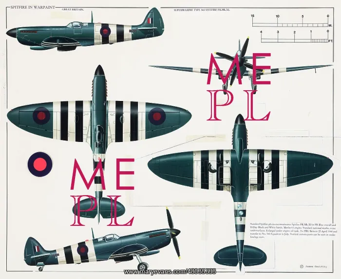 : Supermarine Type 365 Spitfire aeroplane : Supermarine Type 365 Spitfire aeroplane