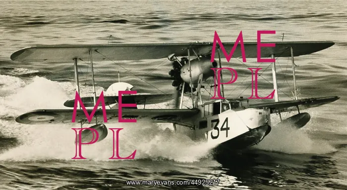 : Supermarine Walrus : Supermarine Walrus