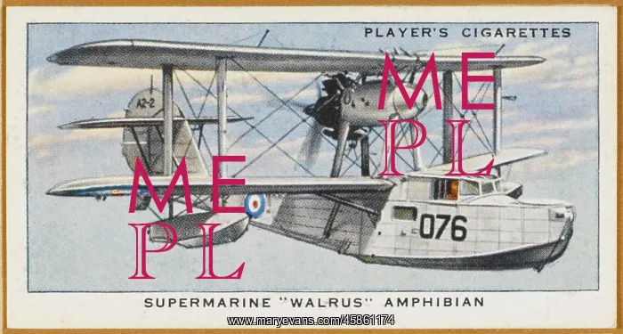 : SUPERMARINE WALRUS : SUPERMARINE WALRUS