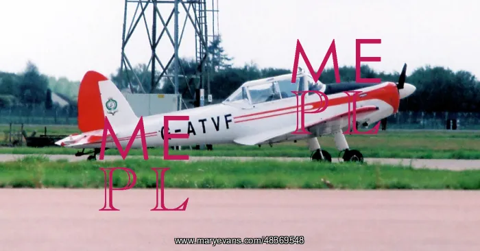 : Supermunk - G-ATVF : Supermunk - G-ATVF