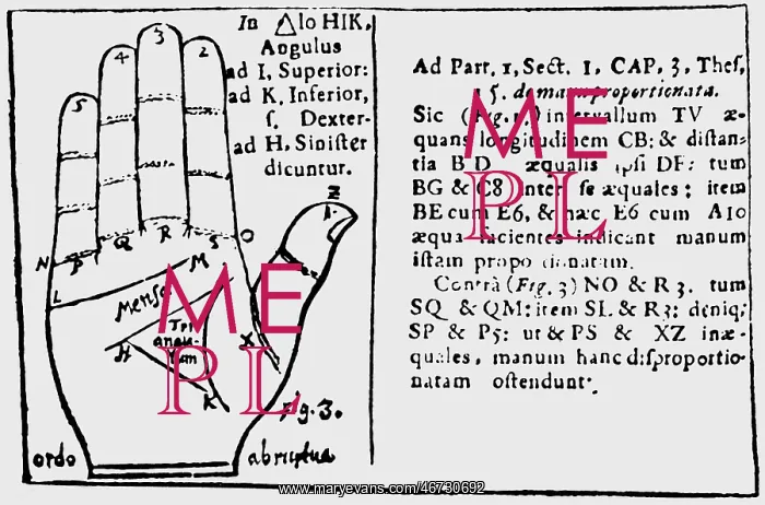  : superstition, fortune telling, hand analysis