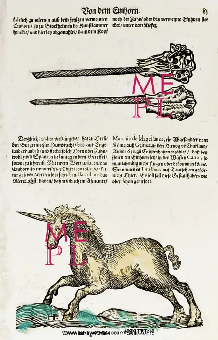 : superstition, mythical creatures, unicorns, graphic : superstition, mythical creatures, unicorns, graphic