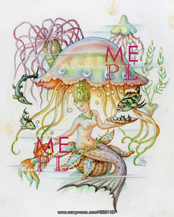 : superstition, mythical creatures, mermaid, coloured : superstition, mythical creatures, mermaid, coloured