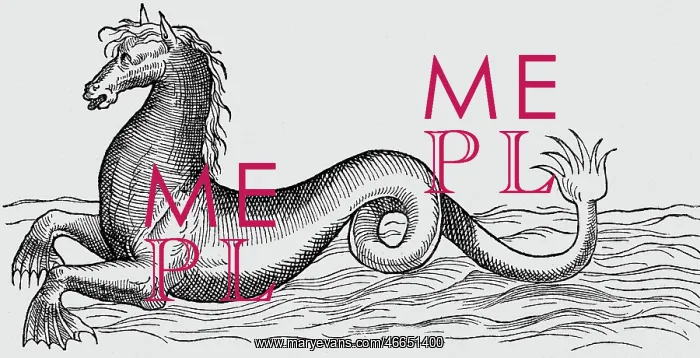 : superstition, mythical creatures, sea horse (Hippocamp) : superstition, mythical creatures, sea horse (Hippocamp)