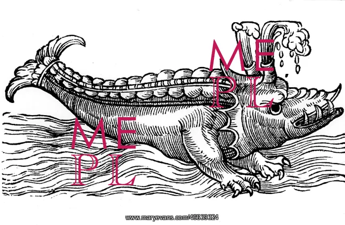 : superstition, mythical creatures, Cyfius, woodcut : superstition, mythical creatures, Cyfius, woodcut