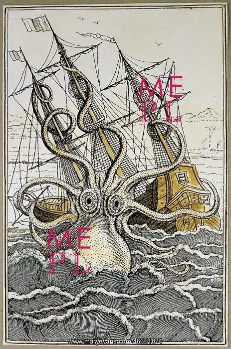 : superstition, mythical creatures, giant squid : superstition, mythical creatures, giant squid