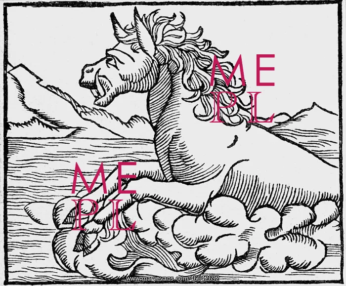 : superstition, mythical creatures, Hippopotamus : superstition, mythical creatures, Hippopotamus