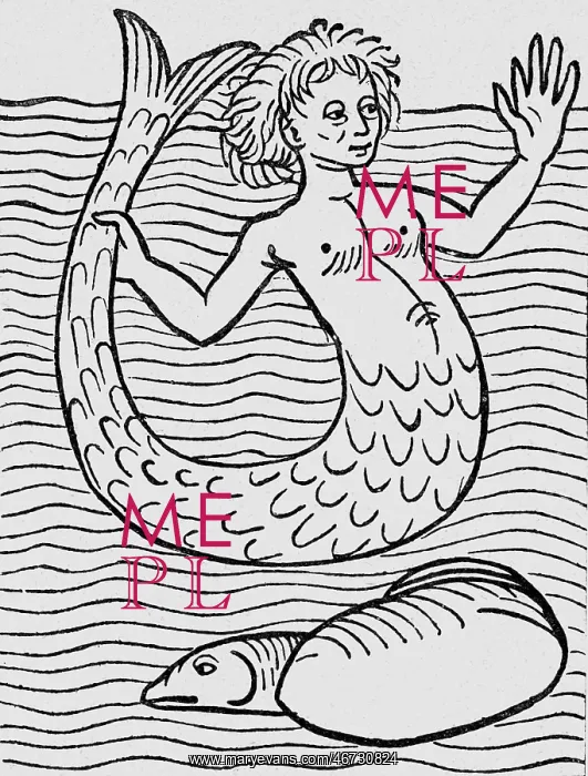 : superstition, mythical creatures, mermaid, woodcut : superstition, mythical creatures, mermaid, woodcut