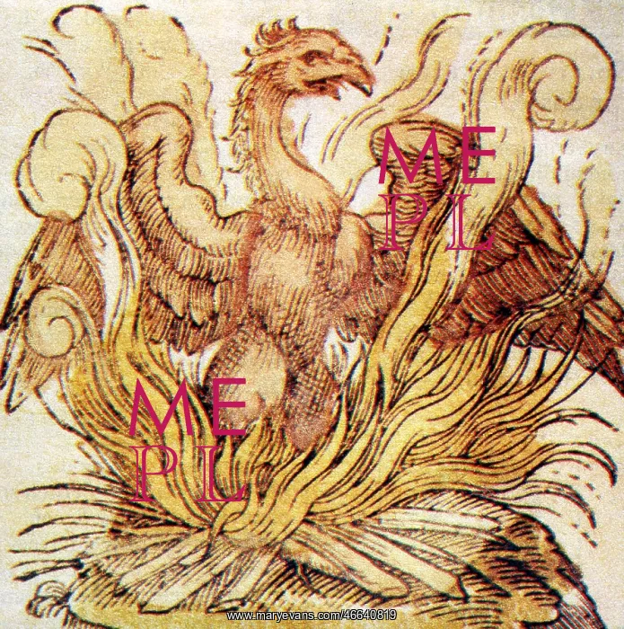 : superstition, mythical creatures, phoenix, rising : superstition, mythical creatures, phoenix, rising