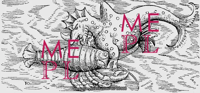 : superstition, mythical creatures, rhinoceros-wale : superstition, mythical creatures, rhinoceros-wale