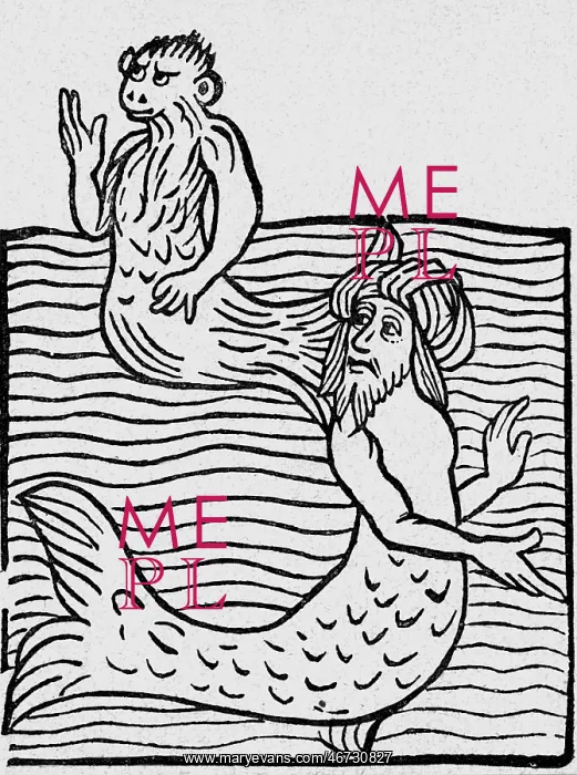 : superstition, mythical creatures, sea-monkey : superstition, mythical creatures, sea-monkey