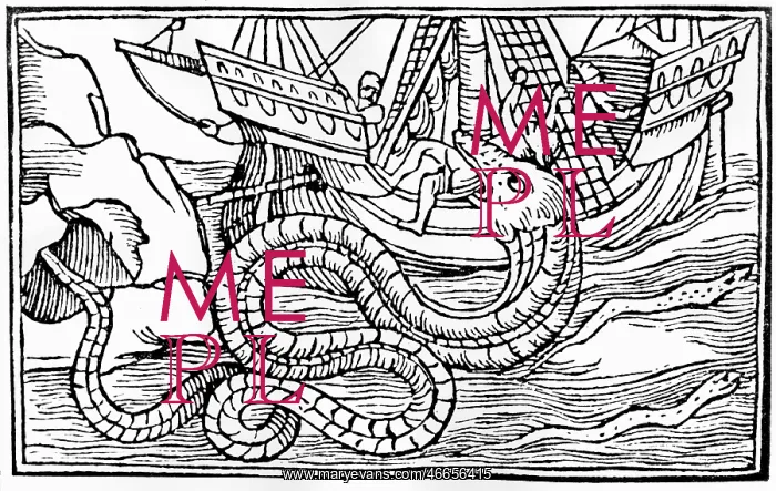 : superstition, mythical creatures, sea serpent : superstition, mythical creatures, sea serpent