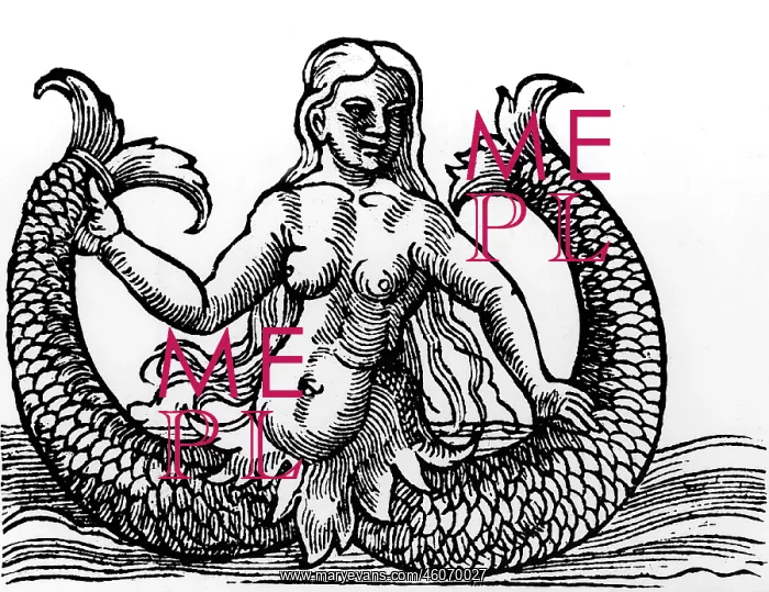 : superstition, mythical creatures, sirens, woodcut : superstition, mythical creatures, sirens, woodcut