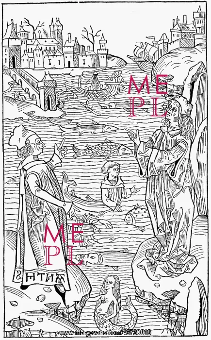: superstition, mythical creatures, sorts of marine : superstition, mythical creatures, sorts of marine