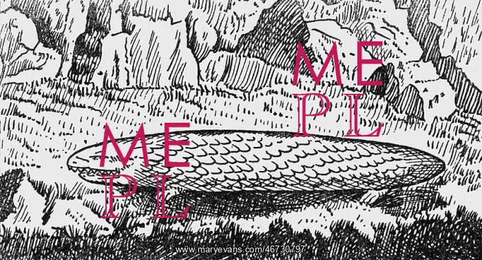 : superstition, mythical creatures, Tatzelwurm : superstition, mythical creatures, Tatzelwurm