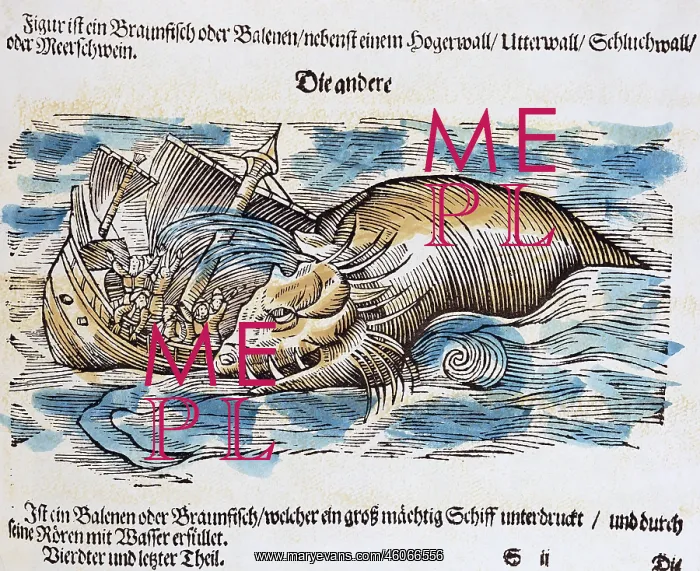: superstition, mythical creatures, wale attacking : superstition, mythical creatures, wale attacking