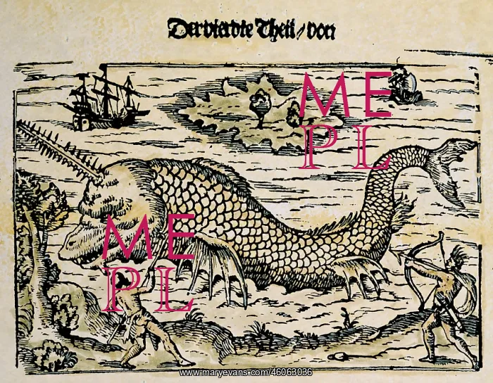 : superstition, mythical creatures, whale with : superstition, mythical creatures, whale with