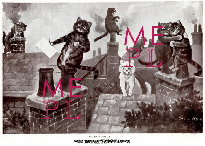 : Supplement, The Seven Ages by Louis Wain - Three : Supplement, The Seven Ages by Louis Wain - Three