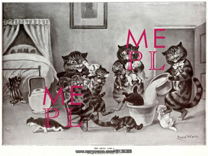 : Supplement, The Seven Ages by Louis Wain - One : Supplement, The Seven Ages by Louis Wain - One