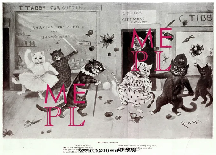 : Supplement, The Seven Ages by Louis Wain - Six : Supplement, The Seven Ages by Louis Wain - Six