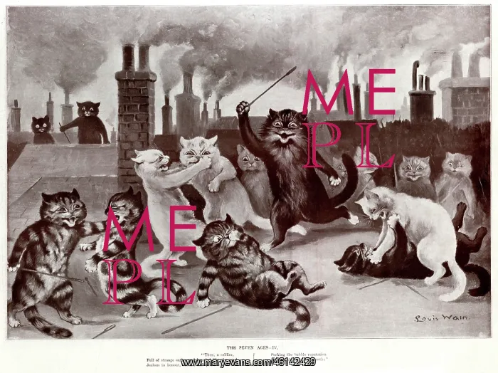 : Supplement, The Seven Ages by Louis Wain - Four : Supplement, The Seven Ages by Louis Wain - Four