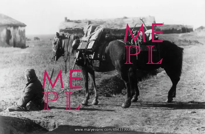 : Supplies in the Crimea, 1941 : Supplies in the Crimea, 1941