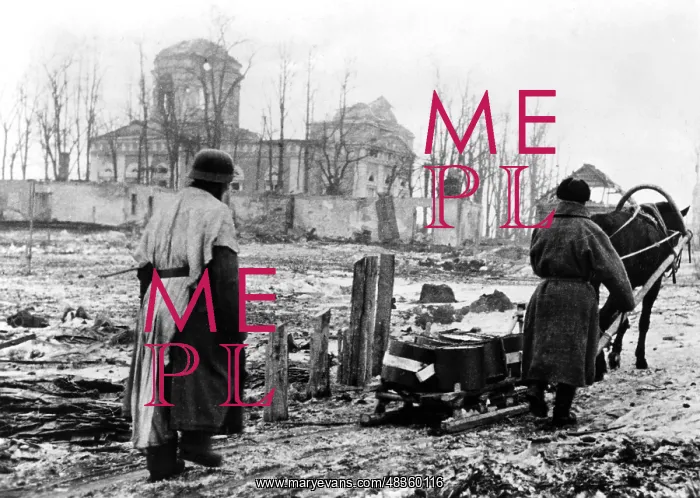 : Supply sledges in Kholm, 1942 : Supply sledges in Kholm, 1942