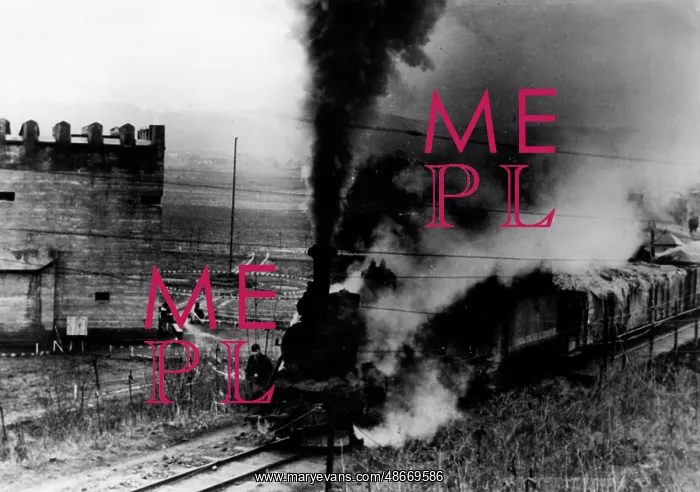 : Supply train in Montenegro, 1945 : Supply train in Montenegro, 1945