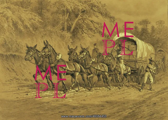  : A supply wagon being pulled by six mules, circa 1864