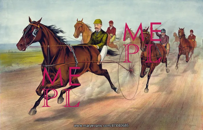 : A sure horse for the first money : A sure horse for the first money