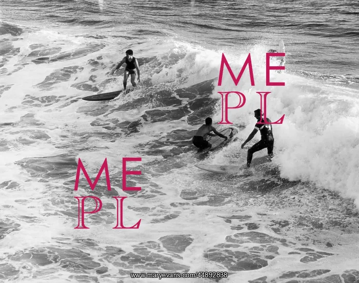  : SURF'S UP!