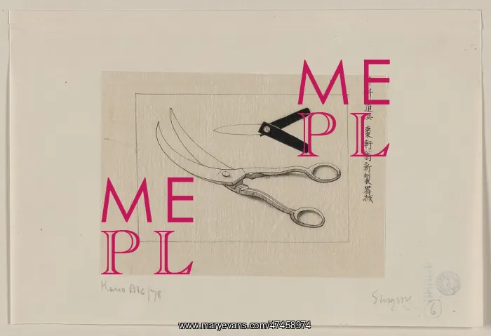  : Surgery scissors and lancet