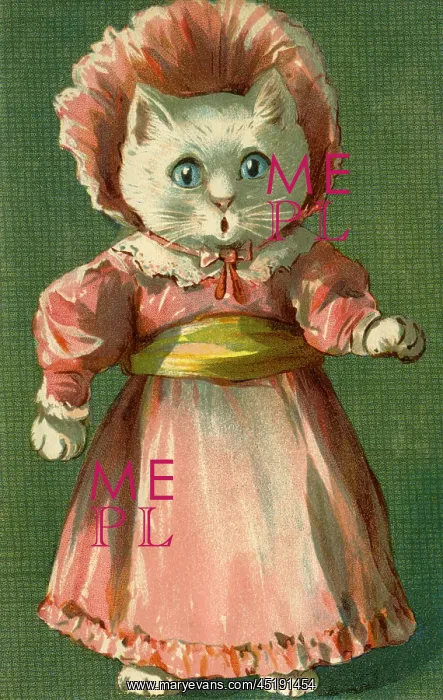 : A surprised cat by g h Thompson : A surprised cat by g h Thompson