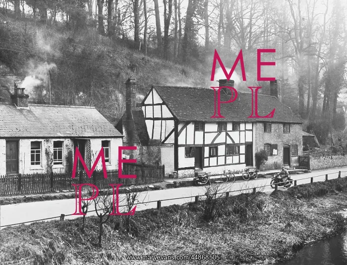 : SURREY COTTAGES : SURREY COTTAGES