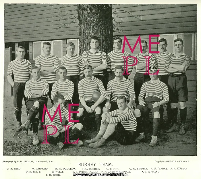 : Surrey Rugby Union Team : Surrey Rugby Union Team