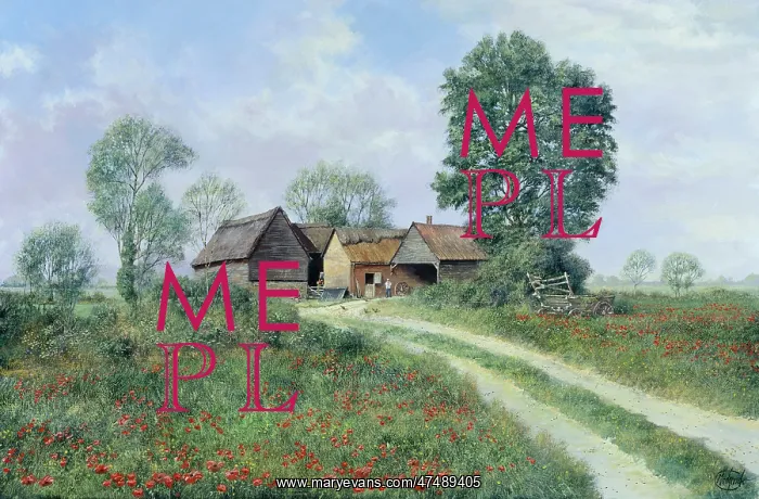  : Surrounded by Fields of Poppies