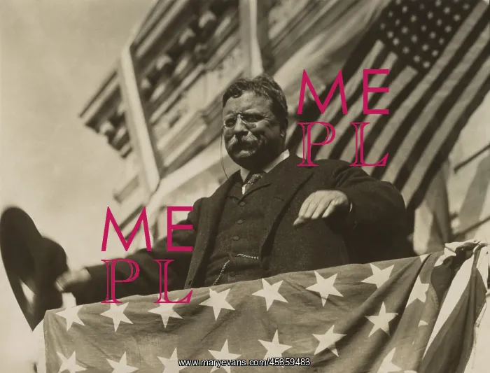 : Surrounded by flags and bunting, Theodore Roosevelt : Surrounded by flags and bunting, Theodore Roosevelt