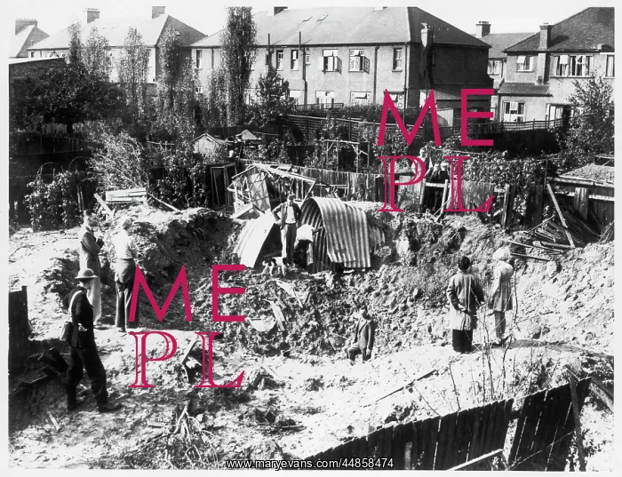 : SURVIVOR OF BLITZ : SURVIVOR OF BLITZ