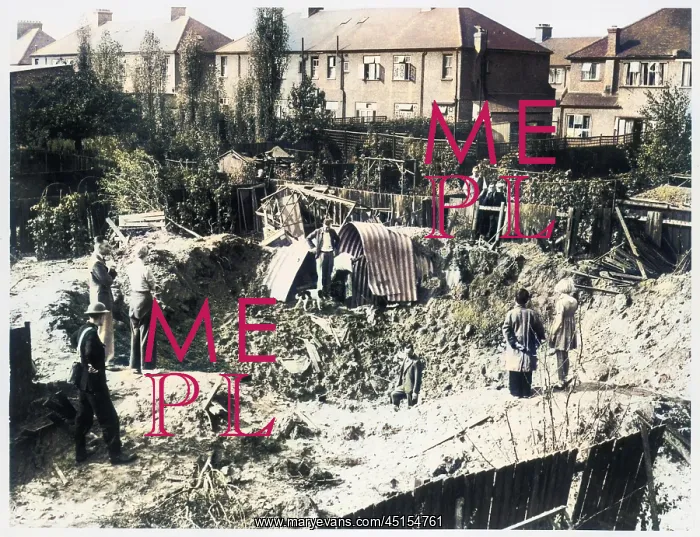 : SURVIVOR OF BLITZ : SURVIVOR OF BLITZ