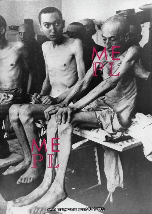 : Survivors in the concentration camp : Survivors in the concentration camp