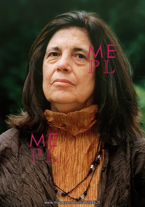 : Susan Sontag (1933 - 2004) : Susan Sontag (1933 - 2004)