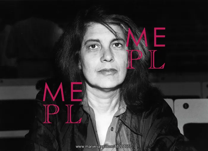 : Susan Sontag (1933 - 2004) : Susan Sontag (1933 - 2004)